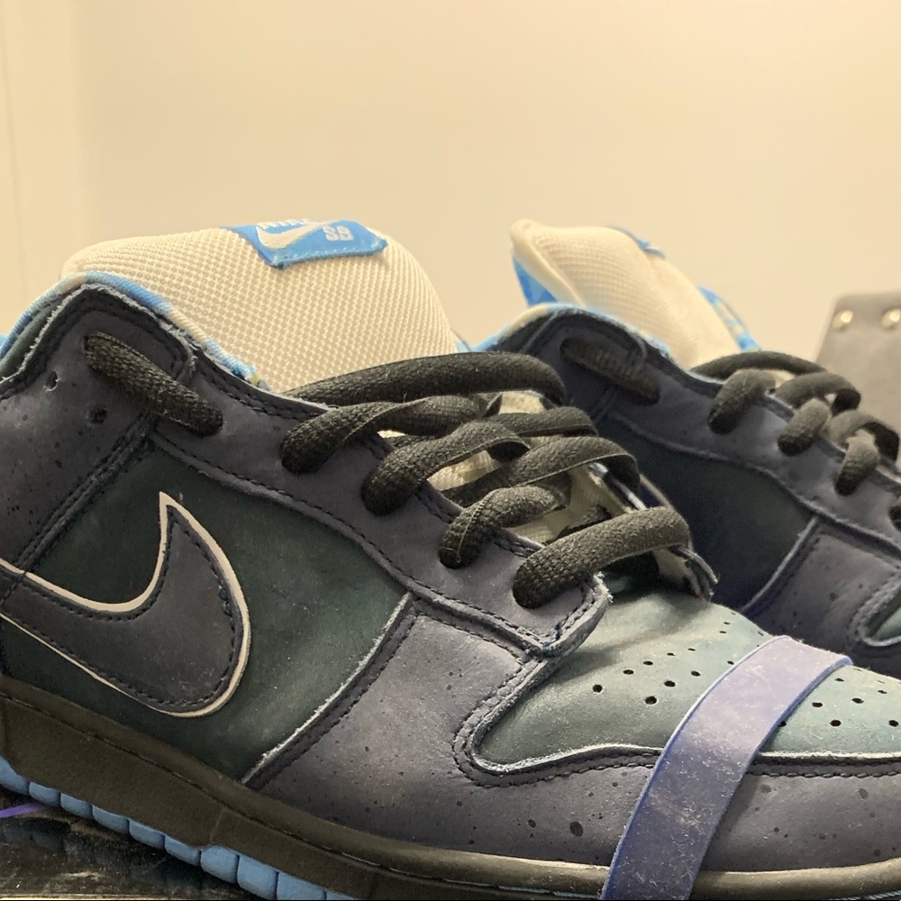 Nike SB